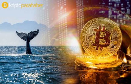 Bitcoin Balina Topluluğu büyümeye devam ediyor